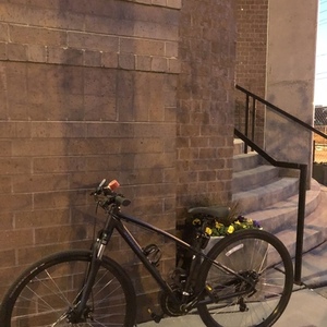 Ariel Ariel Mech Disc Tarmac Blackchameleon S Black