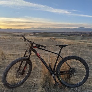 2017 Specialized Fuze Black