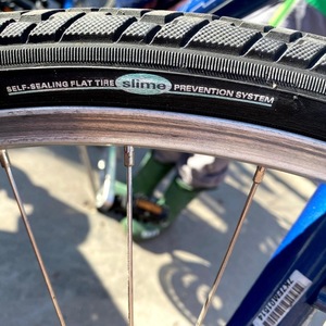 2008 Giant Cypress Blue