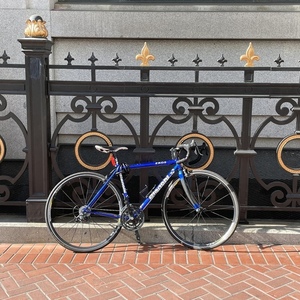 2004 Bianchi Eros Blue