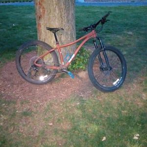 2020 REI DRT 2.2 Brown