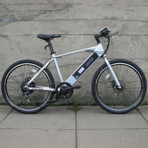 2015 Unknown Genze Ebike e101