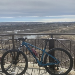 2020 Trek Trek Teal