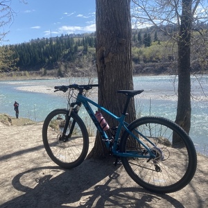 2020 Trek Trek Teal