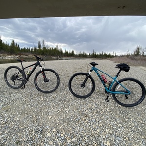 2020 Trek Trek Teal