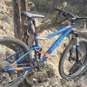 2016 Giant Stance Blue and Orange