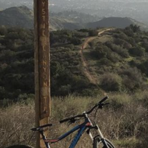 2016 Giant Stance Blue and Orange