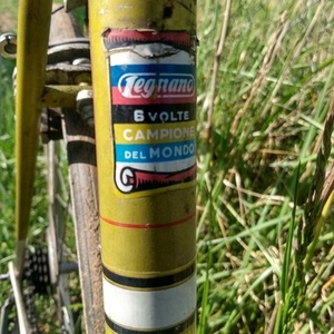 1962 Legnano 6 volte champions del mondo tandem Yellow or Gold, White, and Red