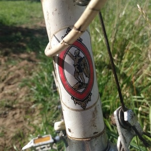 1962 Legnano 6 volte champions del mondo tandem Yellow or Gold, White, and Red