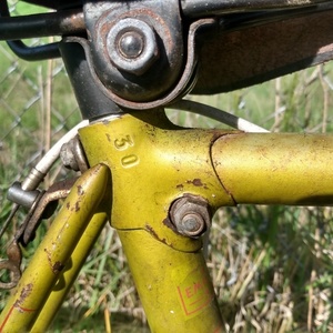 1962 Legnano 6 volte champions del mondo tandem Yellow or Gold, White, and Red
