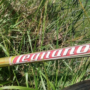 1962 Legnano 6 volte champions del mondo tandem Yellow or Gold, White, and Red