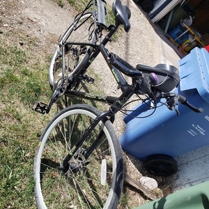 Kona dew deluxe Black and Green