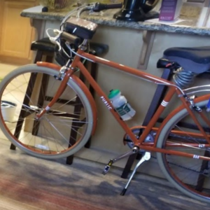 2019 PUBLIC bikes V7 Orange