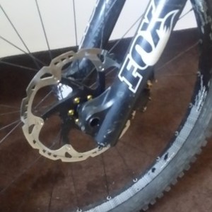 2014 Nukeproof Scalp Silver, gray or bare metal