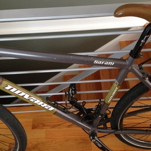 2008 Novara Safari Silver, gray or bare metal