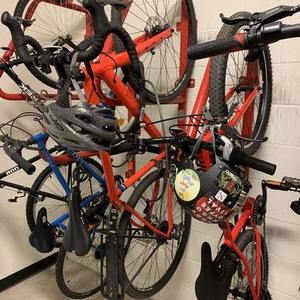 2020 Salsa Journeyman Red