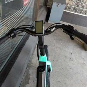 2021 Aventón small Green