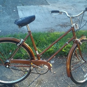 1974 Raleigh Sports Brown