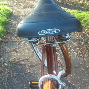 1974 Raleigh Sports Brown