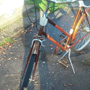 1974 Raleigh Sports Brown