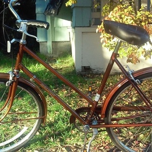 1974 Raleigh Sports Brown