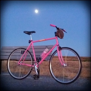 2011 Schwinn Racer Pink