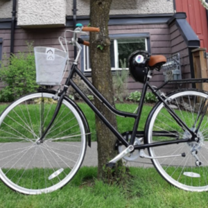 2019 Reid Classic Lite Black