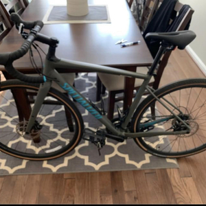 2019 Specialized Diverge Comp E5 Silver, gray or bare metal and Blue