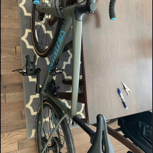 2019 Specialized Diverge Comp E5 Silver, gray or bare metal and Blue