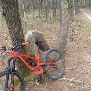 2019 YT Capra Orange