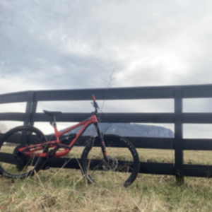2019 YT Capra Orange