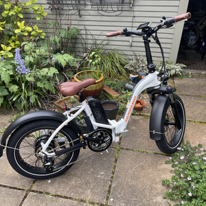 2021 Rad Power Bikes RadMini Step-Thru White