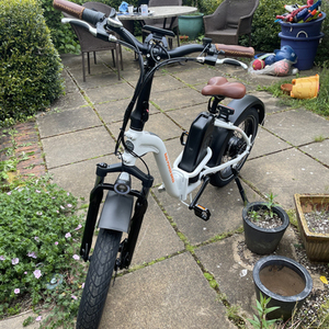 2021 Rad Power Bikes RadMini Step-Thru White