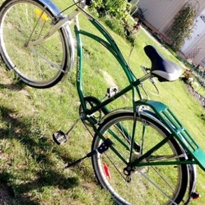 Supercycle Newport Cruiser Green