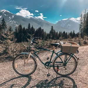 Supercycle Newport Cruiser Green