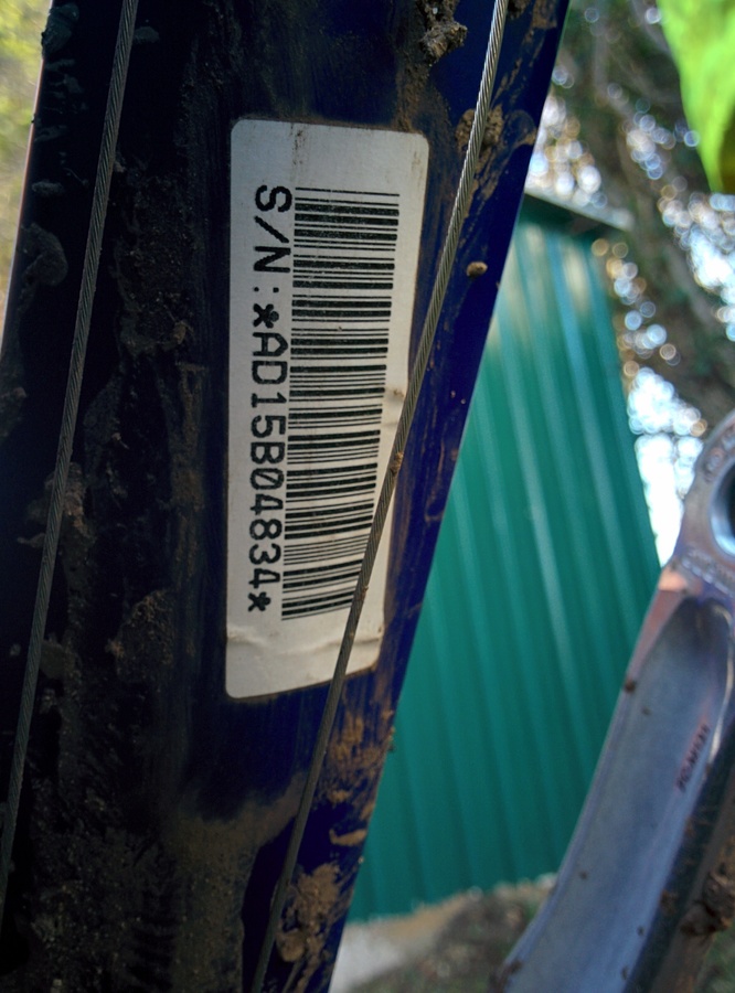 Bike photo