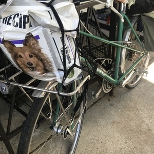 2012 Velo Orange Mixte Green