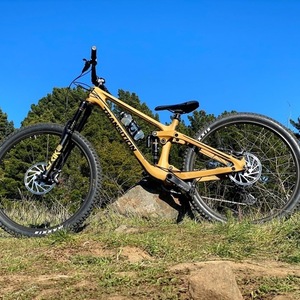 2021 Transition Bikes Sentinel V2 carbon Yellow or Gold