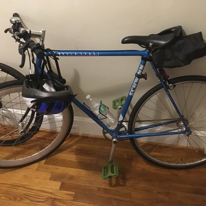 Schwinn World Sport Blue