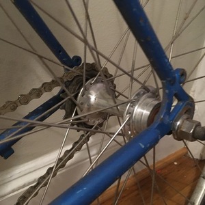 Schwinn World Sport Blue