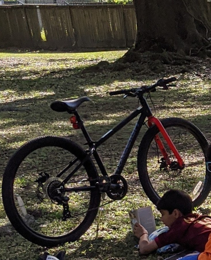 Bike photo