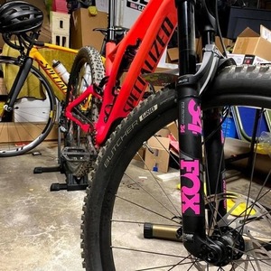 2019 Specialized Stumpjumper Pink