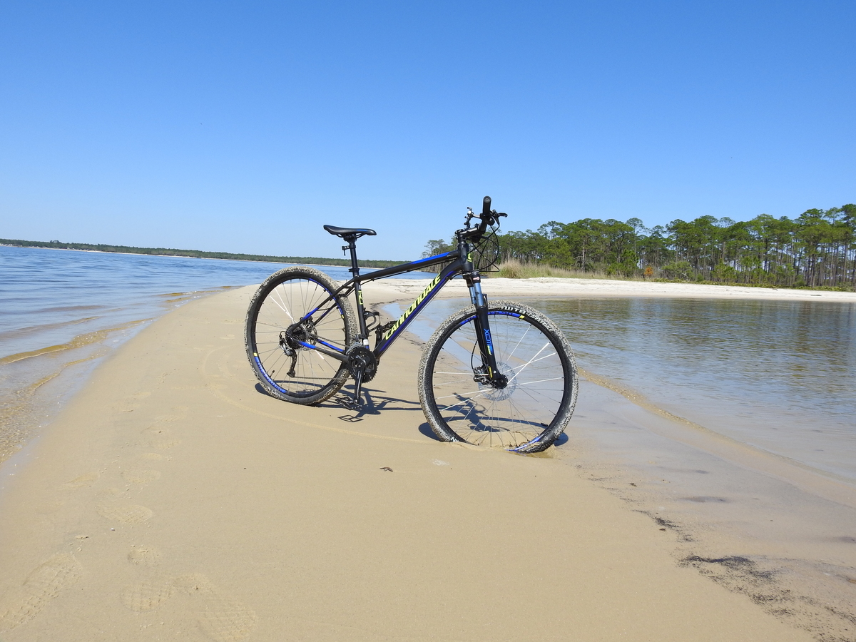 cannondale trail 5 2014