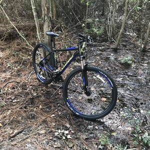 Cannondale Trail 5 Black
