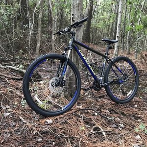 Cannondale Trail 5 Black