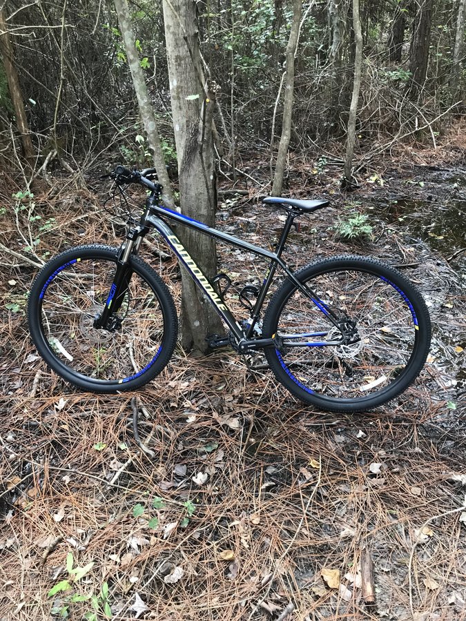 cannondale trail 5 2014