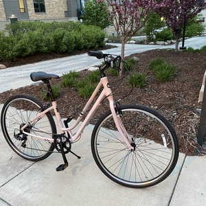 2021 Liv Flourish Pink