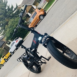 2020 Other E bike Black