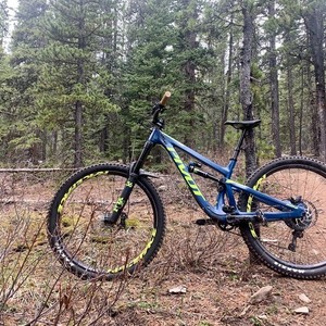 2019 Pivot Firebird 29 Blue and Yellow or Gold