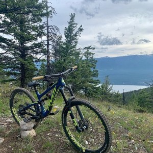 2019 Pivot Firebird 29 Blue and Yellow or Gold